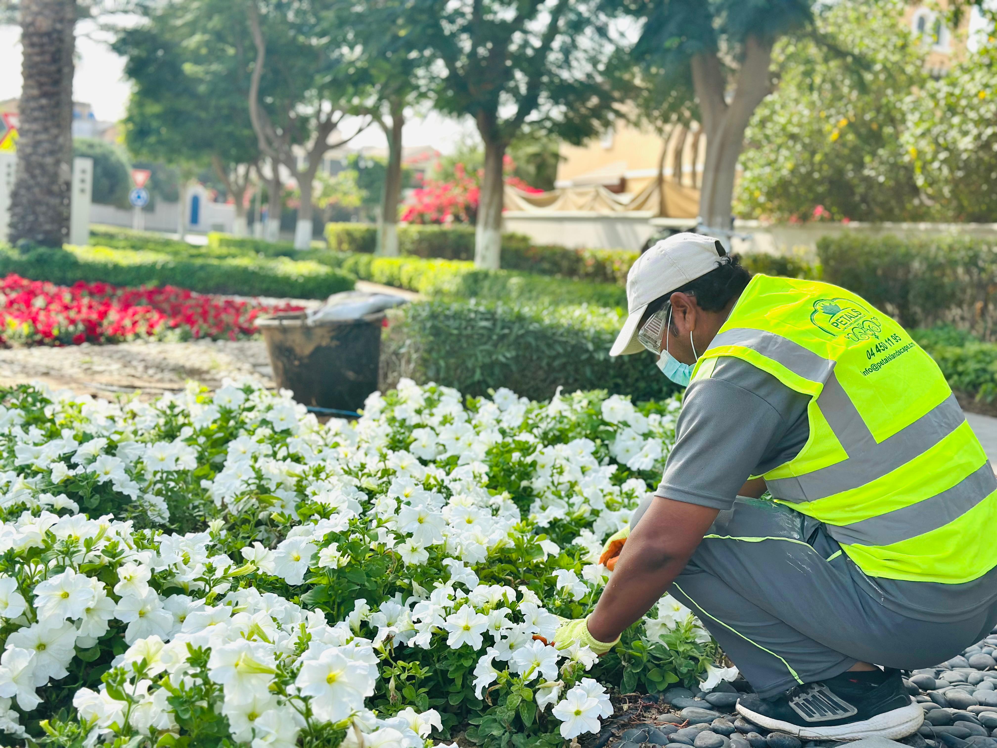 Landscaping project design