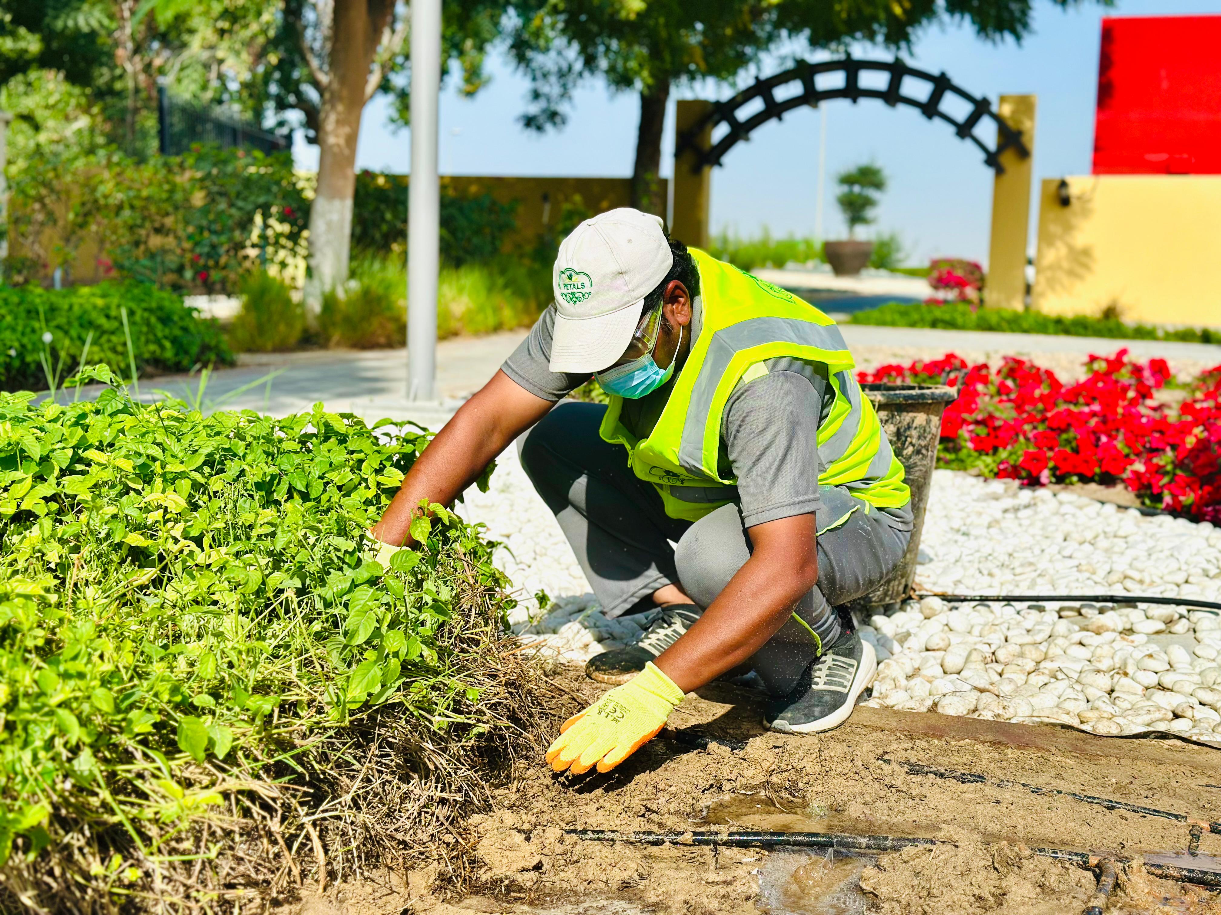 Professional garden installation in Dubai